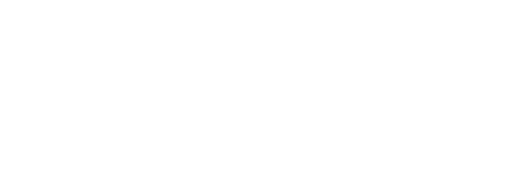 Quanfinmax Ai